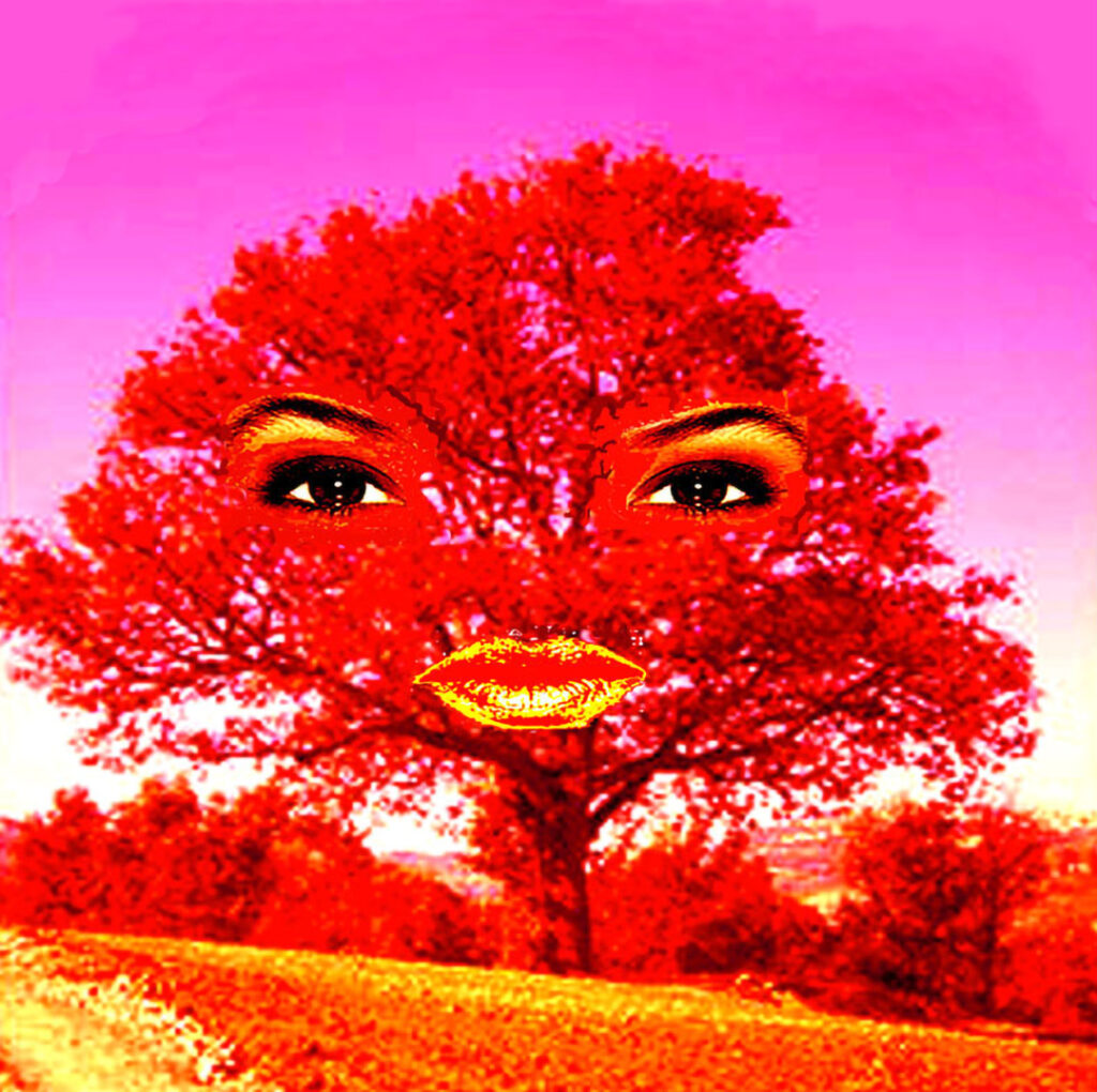 MAKE UP THE TREE (2005)