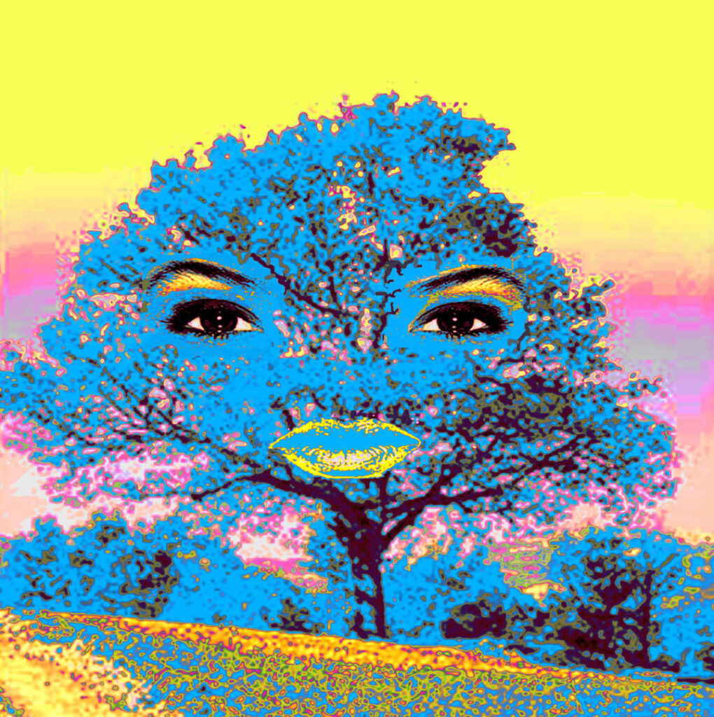 Make Up the Tree 1B 2005 - Beatriz Millar