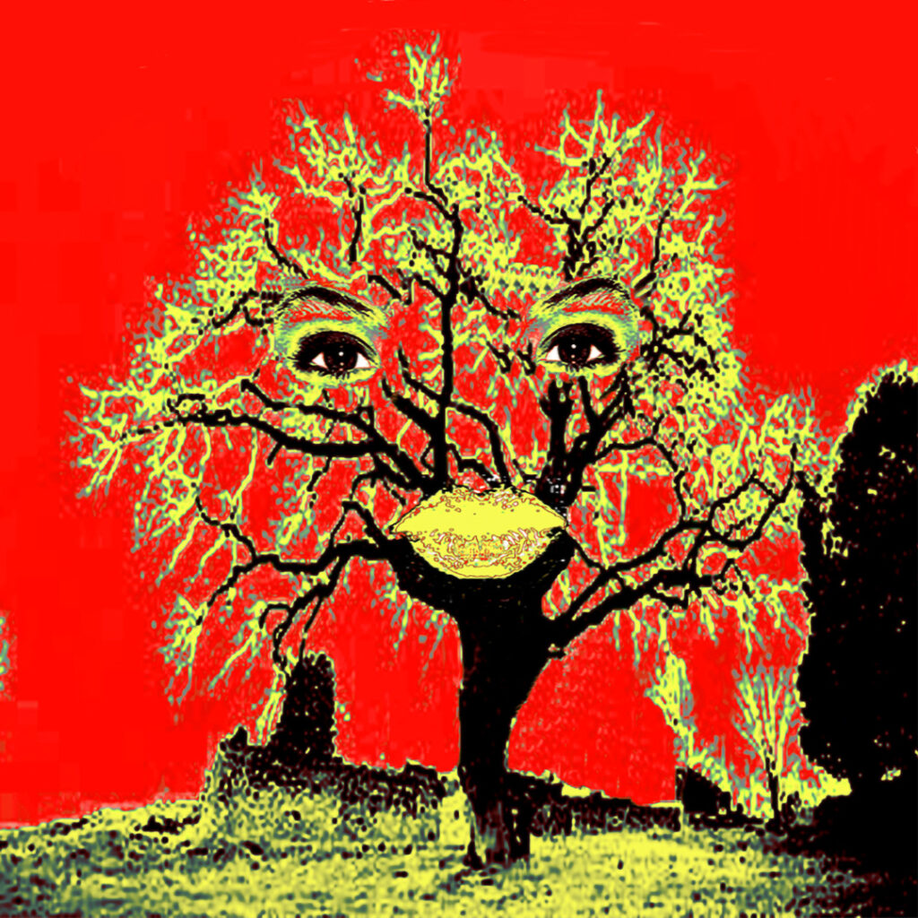 Make Up the Tree 3D 2005 - Beatriz Millar